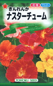 【全国送料無料】 ナスターチューム きんれんか / トーホク 野菜 ハーブ 草花 園芸 栽培 肥料 家庭菜園 球根 苗 種まき 種子 タネ ガーデニング ポット じょうろ 松永種苗 フタバ種苗 サカタのタネ タキイ★在庫がある商品のみ12時（土日祝を除く）までのご注文で当日出荷