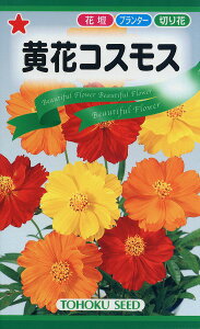 ySz ԃRXX / g[zN  n[u  | ͔| 엿 ƒ؉  c ܂ q  ^l A K[fjO |bg 傤 ic t^oc TJ^̃^l 