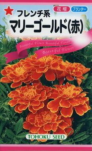 ySz t`n }[S[hiԁj/ g[zN  n[u  | ͔| 엿 ƒ؉  c ܂ q  ^l A K[fjO |{y i t^oc TJ^