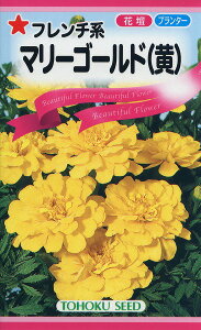 ySz t`n }[S[hij/ g[zN  n[u  | ͔| 엿 ƒ؉ c ܂ q ^l K[fjO |bg ic t^oc TJ^̃^l ^L