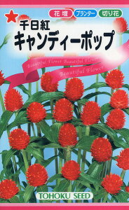 ySz g LfB[|bv/ g[zN  n[u  | ͔| 엿 ƒ؉  c ܂ q  K[fjO |bg 傤 i t^oc TJ^̃^l 