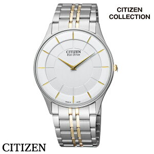 yz[V`Y]rv Citizen Collection V`Y RNV Eco-Drive GREhCu ^ AR3014-56A YkCEBEE͕ʓri1080~`2160~jƎ j LO