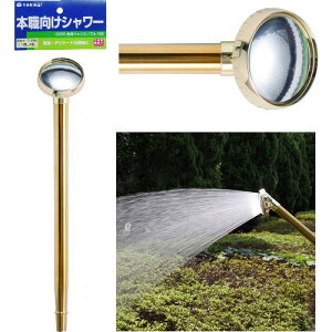 yzWEɐڑ{EmY@cfP[gȐAɃ^JM@G256@WEmY~`@@OmYkCEBEE͕ʓri108