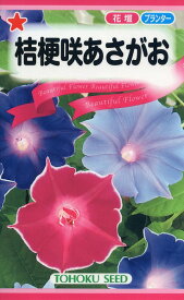 【全国送料無料】 桔梗咲あさがお/ トーホク 野菜 ハーブ 草花 園芸 栽培 肥料 家庭菜園 球根 苗 種まき 種子 たね タネ 植物 ガーデニング 培養土 ポット じょうろ 松永 フタバ種苗 サカタのタネ タキイ★在庫がある商品のみ12時（土日祝を除く）までのご注文で当日出荷