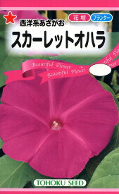 【全国送料無料】 西洋系あさがお スカーレットオハラ/ トーホク 野菜 ハーブ 草花 園芸 栽培 肥料 家庭菜園 種子 たね タネ 植物 ガーデニングポット じょうろ 松永種苗 フタバ種苗 サカタのタネ タキイ★在庫がある商品のみ12時（土日祝を除く）までのご注文で当日出荷