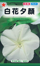 【全国送料無料】 白花夕顔/ トーホク 野菜 ハーブ 草花 園芸 栽培 肥料 家庭菜園 球根 苗 種まき 種子 たね タネ 植物 ガーデニング ポット じょうろ 松永種苗 フタバ種苗 サカタのタネ タキイ種苗 土壌改良★在庫がある商品のみ12時（土日祝を除く）までのご注文で当日出荷