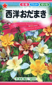 【全国送料無料】 西洋おだまき/ トーホク 野菜 ハーブ 草花 園芸 栽培 肥料 家庭菜園 球根 種子 たね タネ 植物 ガーデニング ポット じょうろ 松永種苗 フタバ種苗 サカタのタネ タキイ 土壌改良 腐葉土★在庫がある商品のみ12時（土日祝を除く）までのご注文で当日出荷