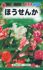 ySz ق/ g[zN  n[u  | ͔| 엿 ƒ؉  c ܂ q  ^l A K[fjO |{y |bg ic t^oc TJ^̃^l ^L