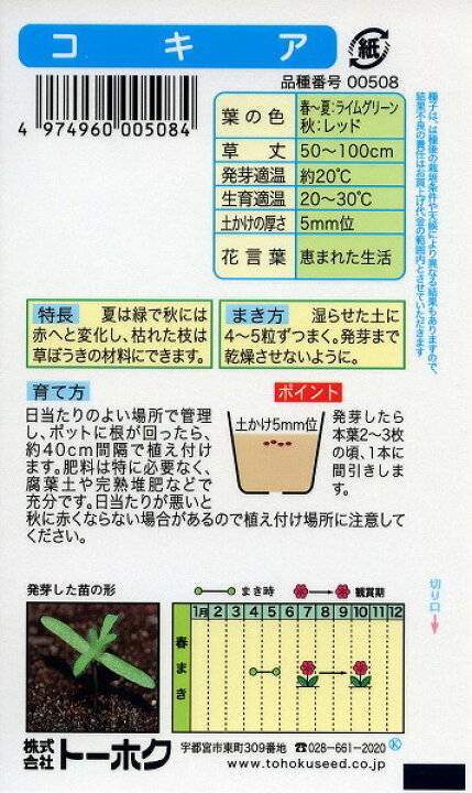 わすれな草 トーホク 園芸 家庭菜園 栽培 タネ 植物 じょうろ 肥料 たね ハーブ 草花 野菜 種子 球根 ポット 尾崎豊 ガーデニング