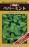 【全国送料無料】ペパーミント　/ トーホク 野菜 ハーブ 草花 園芸 栽培 肥料 家庭菜園 球根 苗 種まき …