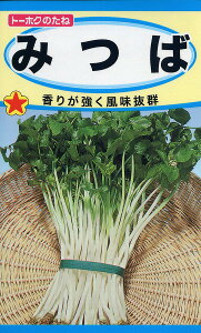 ySz݂ @/ g[zN  n[u  | ͔| 엿 ƒ؉  c ܂ q  ^l A K[fjO |{y |bg 傤 ic t^o TJ^̃^l ^