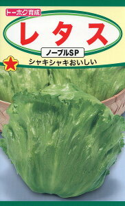 ySz^X m[uSP@/ g[zN  n[u  | ͔| 엿 ƒ؉  c ܂ q  ^l A K[fjO |bg ic t^oc TJ^̃^l ^L