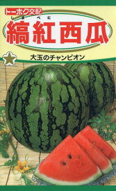 【全国送料無料】縞紅西瓜　（しまべに すいか）/ トーホク 野菜 ハーブ 草花 園芸 栽培 肥料 家庭菜園 球根 苗 種まき 種子 たね タネ 植物 ガーデニング 松永種苗 フタバ種苗 サカタのタネ タキイ種苗 ★在庫がある商品のみ12時（土日祝を除く）までのご注文で当日出荷