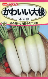 【全国送料無料】かわいい大根　小太郎/ トーホク 野菜 ハーブ 草花 園芸 栽培 肥料 家庭菜園 球根 苗 種まき 種子 たね タネ 植物 ガーデニング 培養土 じょうろ 松永種苗 フタバ サカタのタネ タキイ種苗★在庫がある商品のみ12時（土日祝を除く）までのご注文で当日出荷