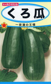 【全国送料無料】くろ瓜 / トーホク 野菜 ハーブ 草花 園芸 栽培 肥料 家庭菜園 球根 苗 種まき 種子 たね タネ 植物 ガーデニング 培養土 じょうろ 松永種苗 フタバ種苗 サカタのタネ タキイ種苗 腐葉土★在庫がある商品のみ12時（土日祝を除く）までのご注文で当日出荷