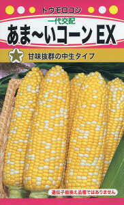 ySz܁`R[EX/ g[zN  n[u  | ͔| 엿 ƒ؉  c ܂ q  ^l A K[fjO ic t^oc TJ^̃^l ^LCc A