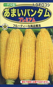 ySz܂o^ v~A/ g[zN  n[u  | ͔| 엿 ƒ؉  c ܂ q  ^l A K[fjO ic t^oc TJ^̃^l ^L