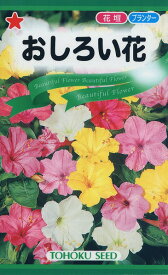 【全国送料無料】 おしろい花/ トーホク 野菜 ハーブ 草花 園芸 栽培 肥料 家庭菜園 球根 苗 種まき たね タネ 植物 ガーデニング ポット じょうろ 松永種苗 フタバ種苗 サカタのタネ タキイ種苗 腐葉土★在庫がある商品のみ12時（土日祝を除く）までのご注文で当日出荷