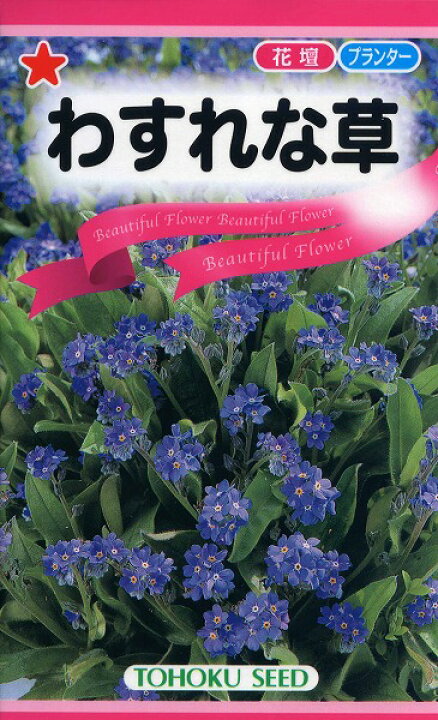 楽天市場 全国送料無料 わすれな草 トーホク 野菜 ハーブ 草花 園芸 栽培 肥料 家庭菜園 球根 尾崎豊 種子 たね タネ 植物 ガーデニング ポット じょうろ 松永種苗 フタバ サカタのタネ タキイ種苗 土壌改良 在庫がある商品のみ12時 土日祝を除く までのご注文で
