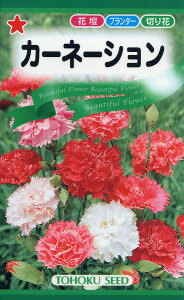 ySz J[l[V/ g[zN  n[u  | ͔| 엿 ƒ؉  c ܂ q  ^l A K[fjO |{y |bg 傤 ic t^oc TJ