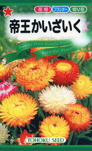 ySz 鉤/ g[zN  n[u  | ͔| 엿 ƒ؉  c ܂ q  ^l A K[fjO 傤 ic t^oc TJ^̃^l ^L