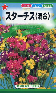 ySz X^[`Xij/ g[zN  n[u  | ͔| 엿 ƒ؉  ܂ q ^l K[fjO |{y |bg 傤 ic t^o TJ^̃^l ^L