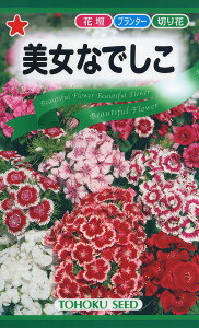 ySz Ȃł/ g[zN  n[u  | ͔| 엿 ƒ؉  c ܂ q  ^l A K[fjO |bg 傤 ic t^o TJ^̃^l ^L