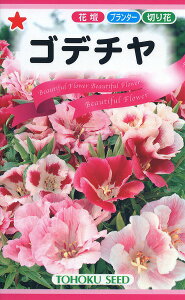 ySz Sf`/ g[zN  n[u  | ͔| 엿 ƒ؉ c ܂ q  ^l A K[fjO |bg 傤 ic t^oc TJ^̃^l ^LC@