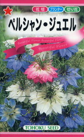 【全国送料無料】 ペルシャン　ジュエル/ トーホク 野菜 ハーブ 草花 園芸 栽培 肥料 家庭菜園 球根 苗 種まき 種子 たね タネ 植物 ガーデニング ポット じょうろ 松永種苗 フタバ種苗 サカタのタネ タキイ ★在庫がある商品のみ12時（土日祝を除く）までのご注文で当日出荷