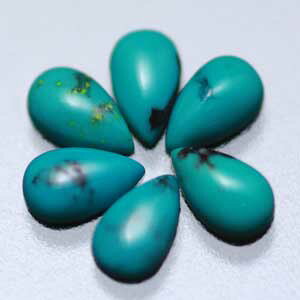 ^[RCY hbvJ{V5mm@fRp[c WFlCp[c VR