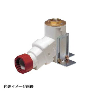 �yWS4-1325�z�I���_���쏊 T-4 �^�e�^�����W���C���g Rc1/2�˂� ���p�� 13A×25 �o����