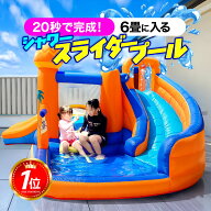 エアー 遊具 プール 日本の部屋へ設置できるオリジナルサイズ 全力部屋遊び 室内 アスレチック ウォータ…