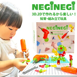 y15%Itzym q gݗĊߋ  dh hCo[ DIY rh lW 2D 3D  ` pY ubN NEGINEGI lWlW CDB LbY