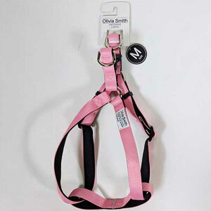 IrAX~X hbOn[lX CgsN MTCY ipn[lXj