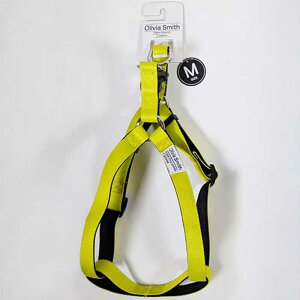 IrAX~X hbOn[lX CgO[ MTCY ipn[lXj