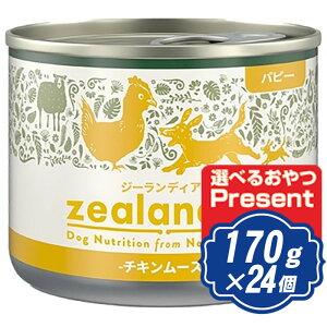 W[fBA hbO ps[ `L[X 170g×24 hbOt[h ʋl yKiz