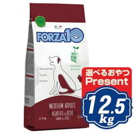 FORZA10 ドッグ ミディアムメンテナンス ラム＆ライス 12.5kg フォルツァディエチ ドッグフード 【正規品】