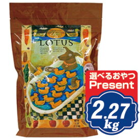 ロータス グレインフリー ダックレシピ 小粒 2.27kg Lotus ドッグフード 【正規品】