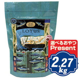 ロータス グレインフリー フィッシュレシピ 小粒 2.27kg Lotus ドッグフード 【正規品】