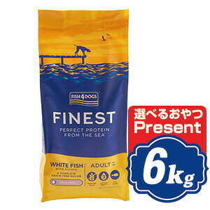 tBbV4 hbO I[VzCgtBbV 6kg fish4dogs Rv[gYhbOt[hyKiz