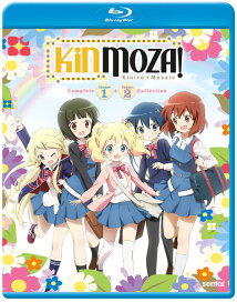 楽天市場 アニメ マンガ Dvd 発売スケジュール Rgb Dvd Store Sports Culture