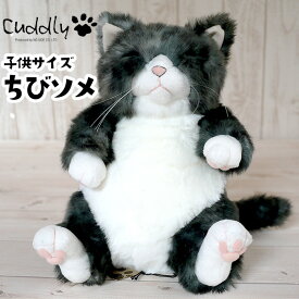楽天市場 ぬいぐるみ 猫の通販