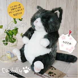 猫 ねこ ぬいぐるみ ちびソメ カドリー Cuddly 癒し 猫のぬいぐるみ 本物 そっくり チビソメ 本物みたいな インテリア リアルな猫のぬいぐるみ 可愛い かわいい ネコ ビッグ おもちゃ 癒しグッズ 癒し猫 猫グッズ 猫雑貨 リアル 日本製 国産
