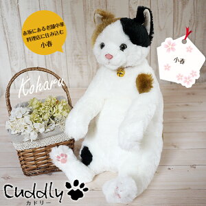 L ʂ t Jh[ Cuddly  L̂ʂ {  傫 {݂ CeA AȔL̂ʂ  킢 lR rbO  ObY L 