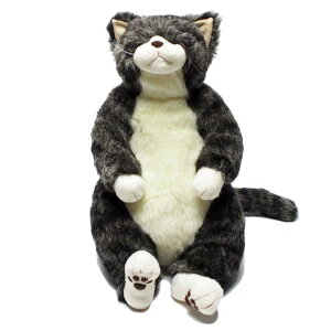 ʂ L ˂ X}C Jh[ Cuddly  {  傫 {݂ CeA AȔL̂ʂ  킢 lR  ObY L LO