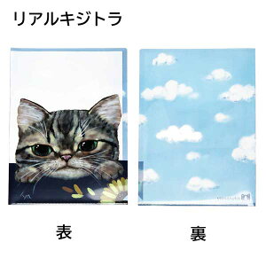 やまねこ イラスト A4クリアファイル クリアファイル 猫 かわいい グッズ ねこ イラスト ネコ柄 猫グッズ 猫雑貨 プレゼント 文房具 文具 猫のクリアファイル クリアホルダー 猫のクリアフォ
