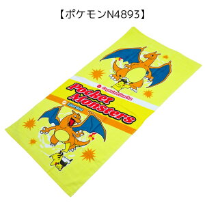 WjAoX^I X|[c^I LN^[ 50×100cm ObY ^I ct ۈ牀 w |P v[ j C  C q LbY TS01