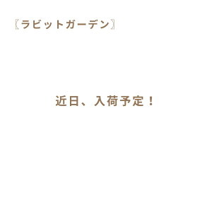 Rbv  В q LbY ct ۈ牀 wZ j̎q ̎q ObY В H `
