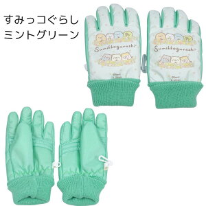  vZX AiƐ̏ ݂R炵 XL[O[u XL[ q LbY 5{w Xm[O[u h ObY ct ۈ牀 wZ ʊw V