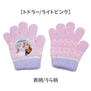  AiƐ̏ fBYj[ q LbY ̎q 킢 V g ~ w h ObY ct ۈ牀 wZ ʊw ` 5{w ̂т̂